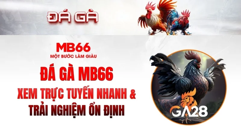 Đá Gà MB66 – Xem Trực Tuyến Nhanh, Ổn Định 2026
